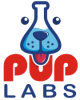 Northstar Labs logo
